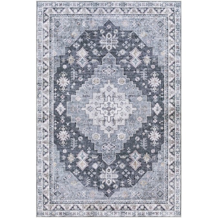 Regen RGE-2307 Machine Washable Area Rug